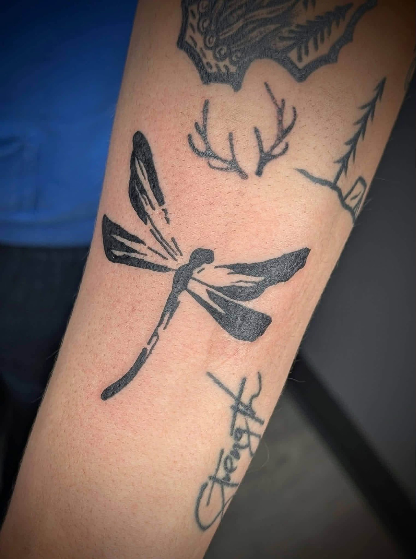 Bold blackwork dragonfly tattoo on a forearm